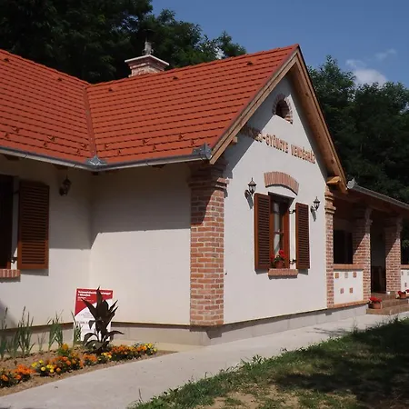 Gocsej-gyongye Vendeghaz Kustánszeg